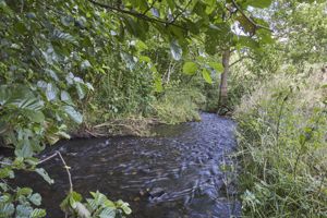 Land- click for photo gallery